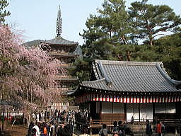 醍醐寺清滝宮拝殿と五重塔