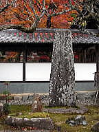 境内に建つ松尾芭蕉の句碑