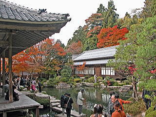 百済寺本坊(喜味院)庭園