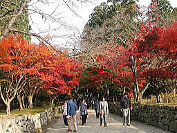 紅葉が真っ盛りの西明寺参道