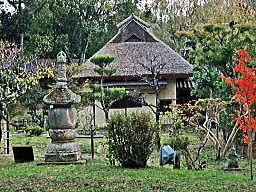 奈良博物館の庭に建つ茶室・八窓庵