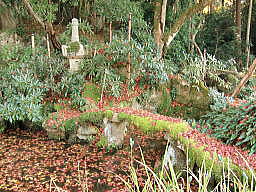 明寿院中庭。江戸初期の庭園
